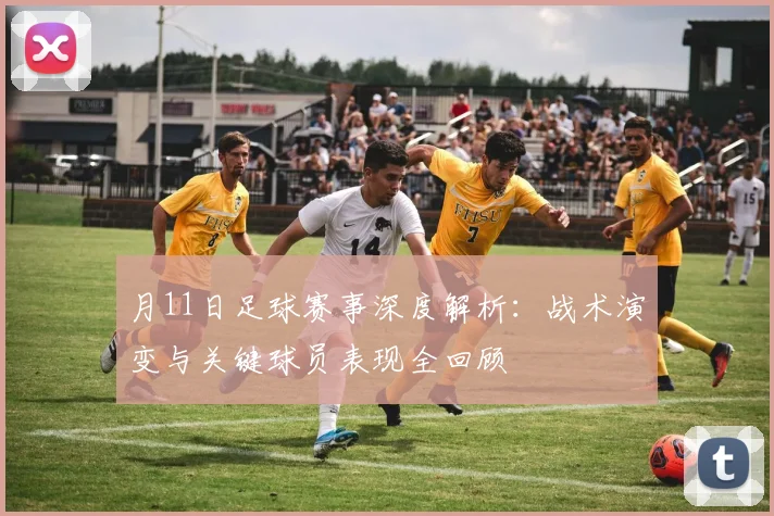 月11日足球赛事深度解析:战术演变与关键球员表现全回顾